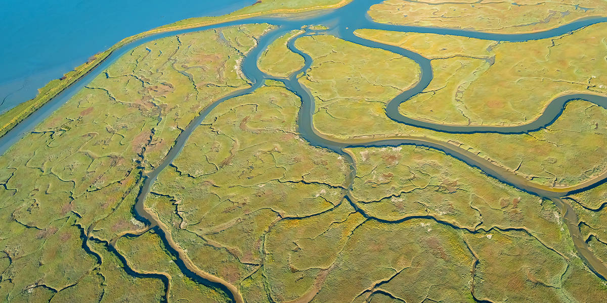 Aerial view of San Francisco Bay estuary