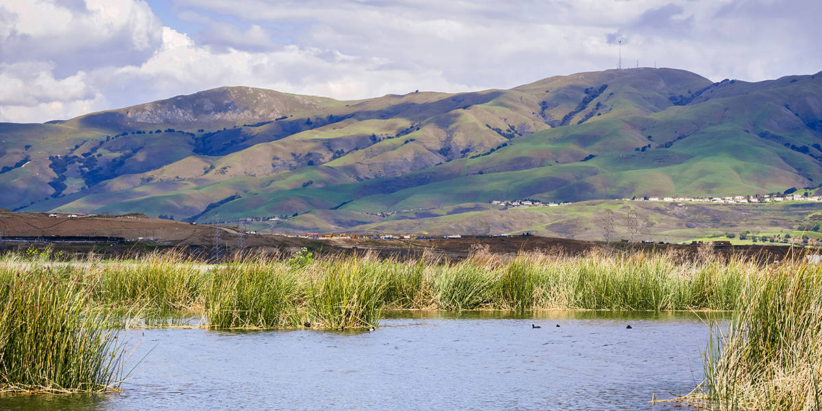 San Francisco Bay Wetlands