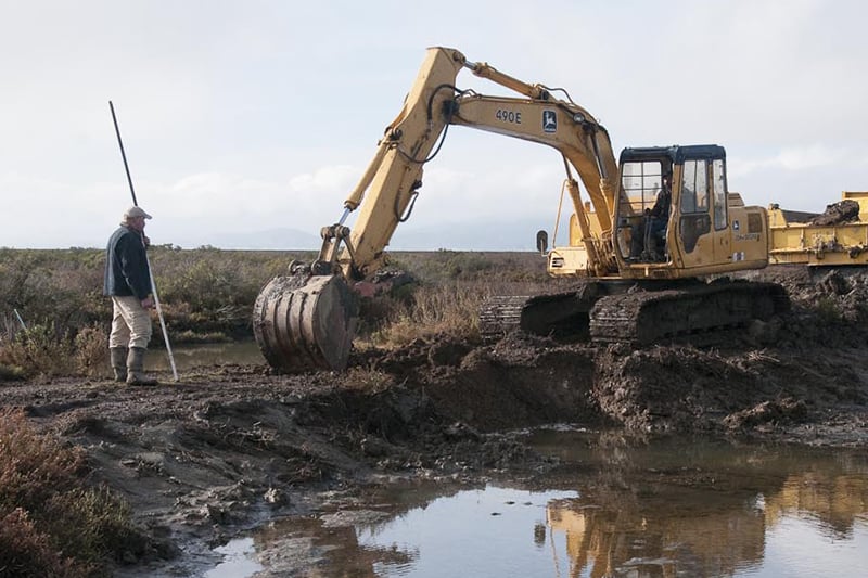 Tubbs Island wetland conservation