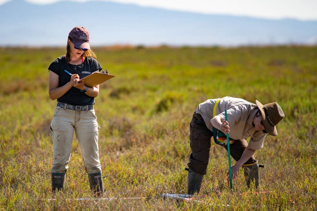 Biologists working in California