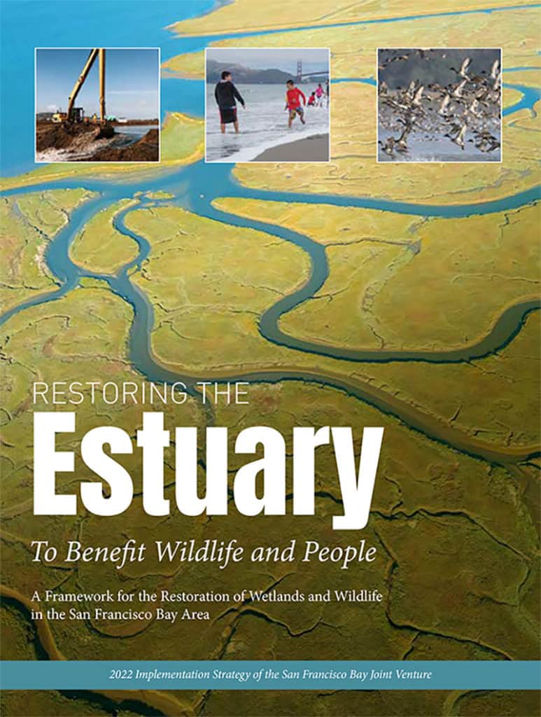 Implementation Strategy - Restoring the Estuary