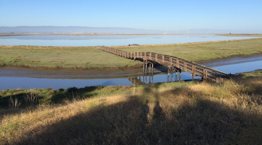 Don Edwards San Francisco Bay National Wildlife Refuge