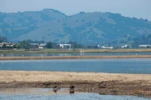 Hamilton Wetlands Restoration Project