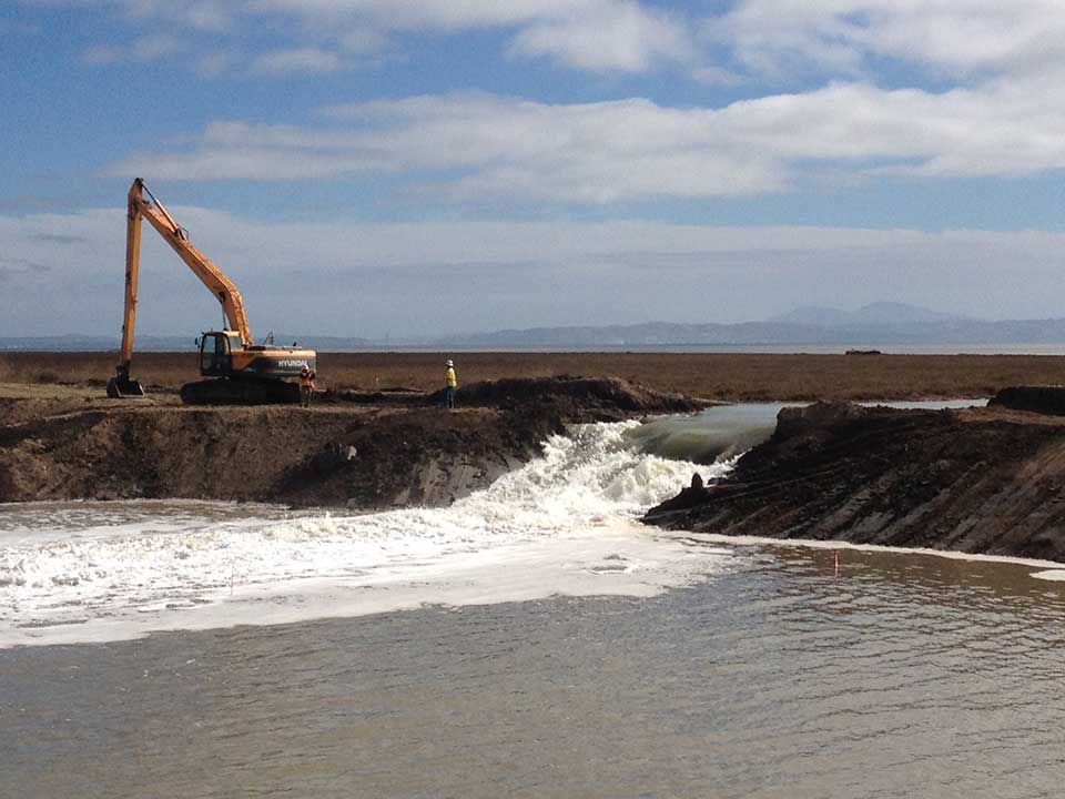 Jobs in Wetland Restoration