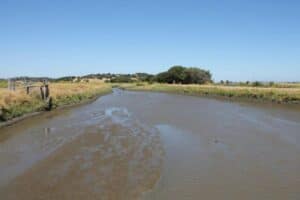 Lower Novato Creek Redesign Project