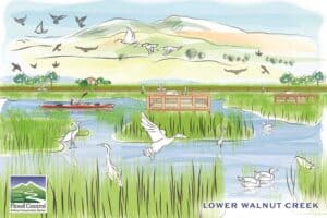 Flood Control 2.0 Implementation Project Lower Walnut Creek