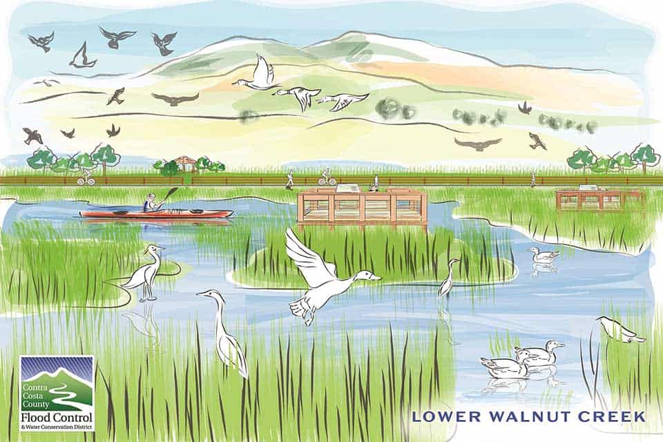 Flood Control 2.0 Implementation Project Lower Walnut Creek