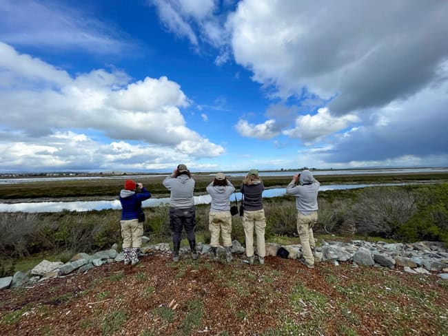 Volunteers and Wetlands Restoration