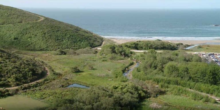 Restoring Redwood Creek at Muir Beach - San Francisco Bay Joint Venture