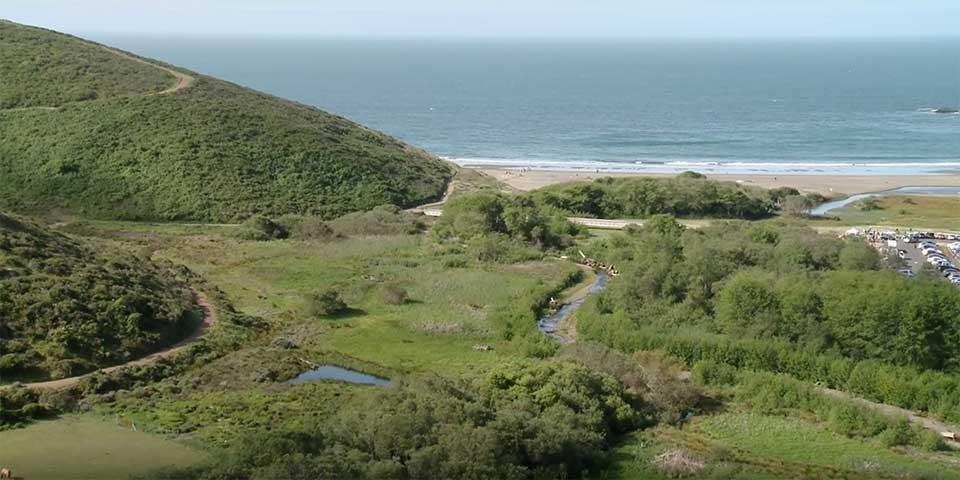 Restoring Redwood Creek at Muir Beach