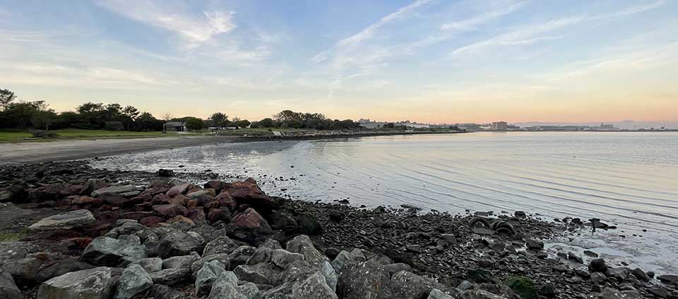 Restoring Urban Wetlands at Candlestick Point