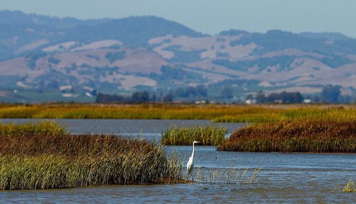 San Francisco Bay Joint Venture