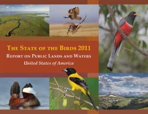 San Francisco Bay State of the Birds Report 2011