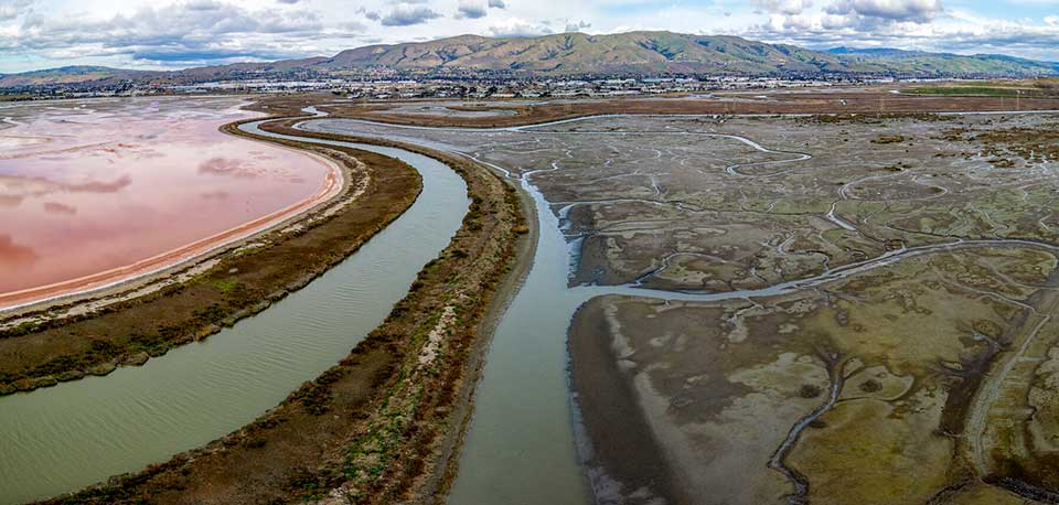 South Bay Salt Pond Restoration Project