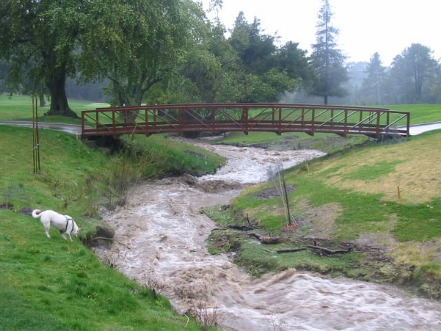 Restoring Our Creeks